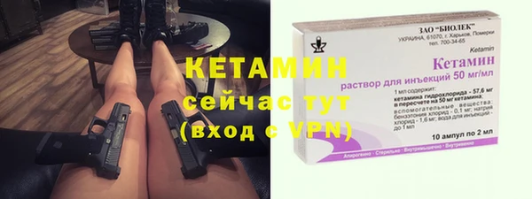 сатива Карпинск