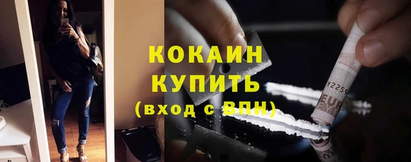 сатива Карпинск