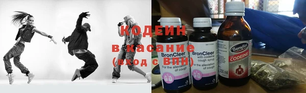 сатива Карпинск