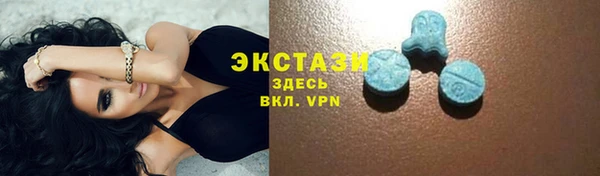 сатива Карпинск
