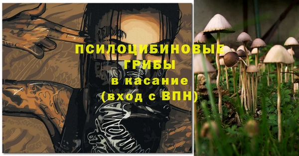 сатива Карпинск