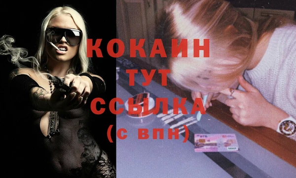сатива Карпинск