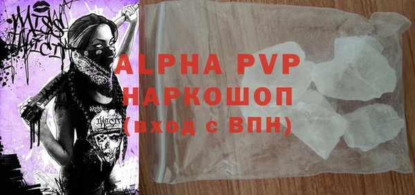 сатива Карпинск
