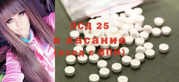сатива Карпинск